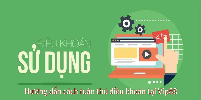 Hướng dẫn cách tuân thủ điều khoản tại Vip88