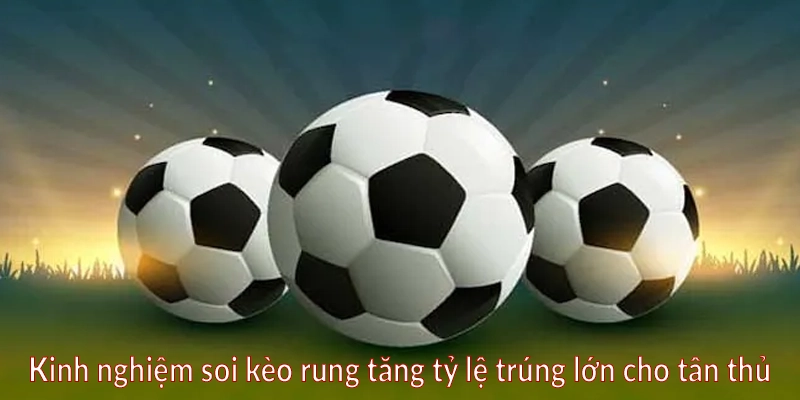 Kinh nghiệm soi kèo rung tăng tỷ lệ trúng lớn cho tân thủ