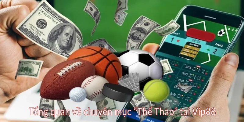 Tổng quan về chuyên mục “Thể Thao” tại Vip88